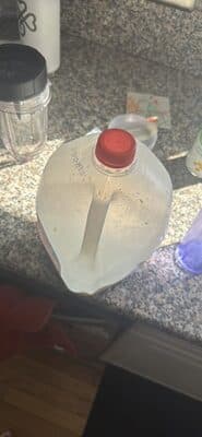 WHOLE MILK